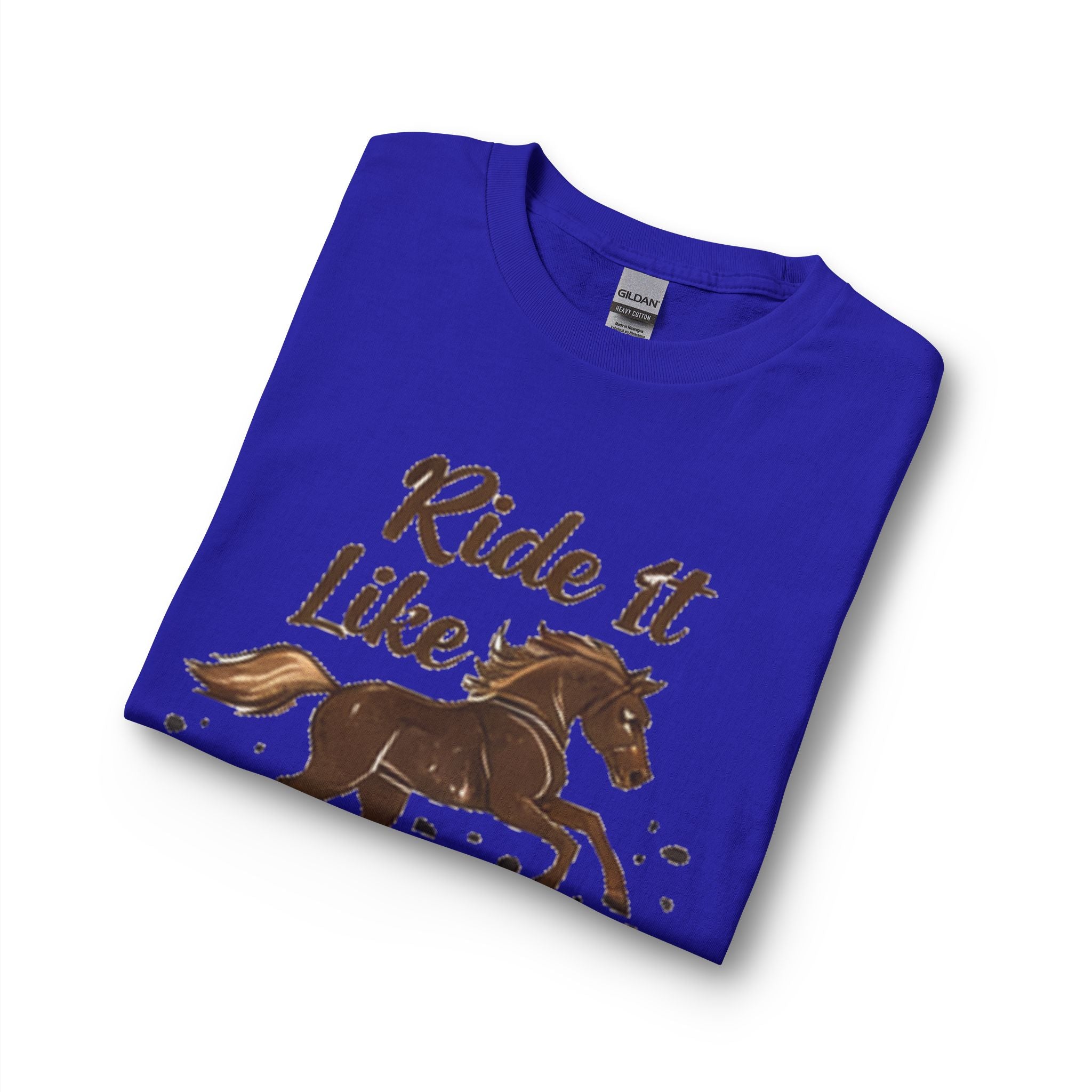 Ride It Like Stole It Horse Long Sleeve T-Shirt | HorseGirlsBrand