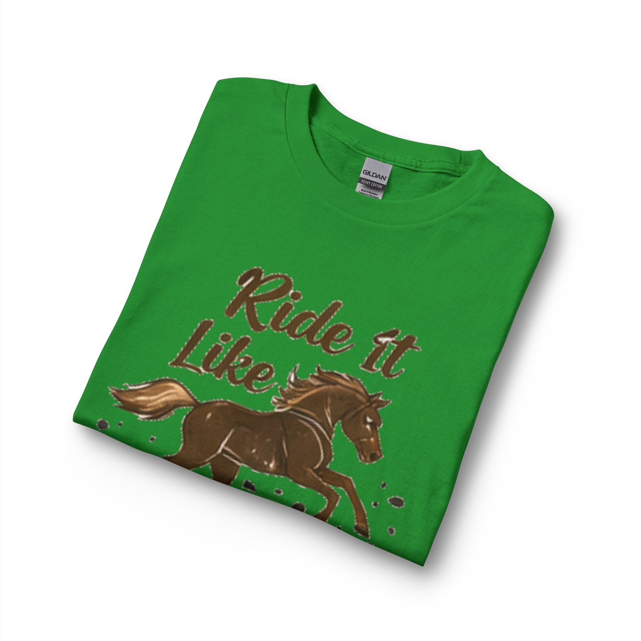 Ride It Like Stole It Horse Long Sleeve T-Shirt | HorseGirlsBrand