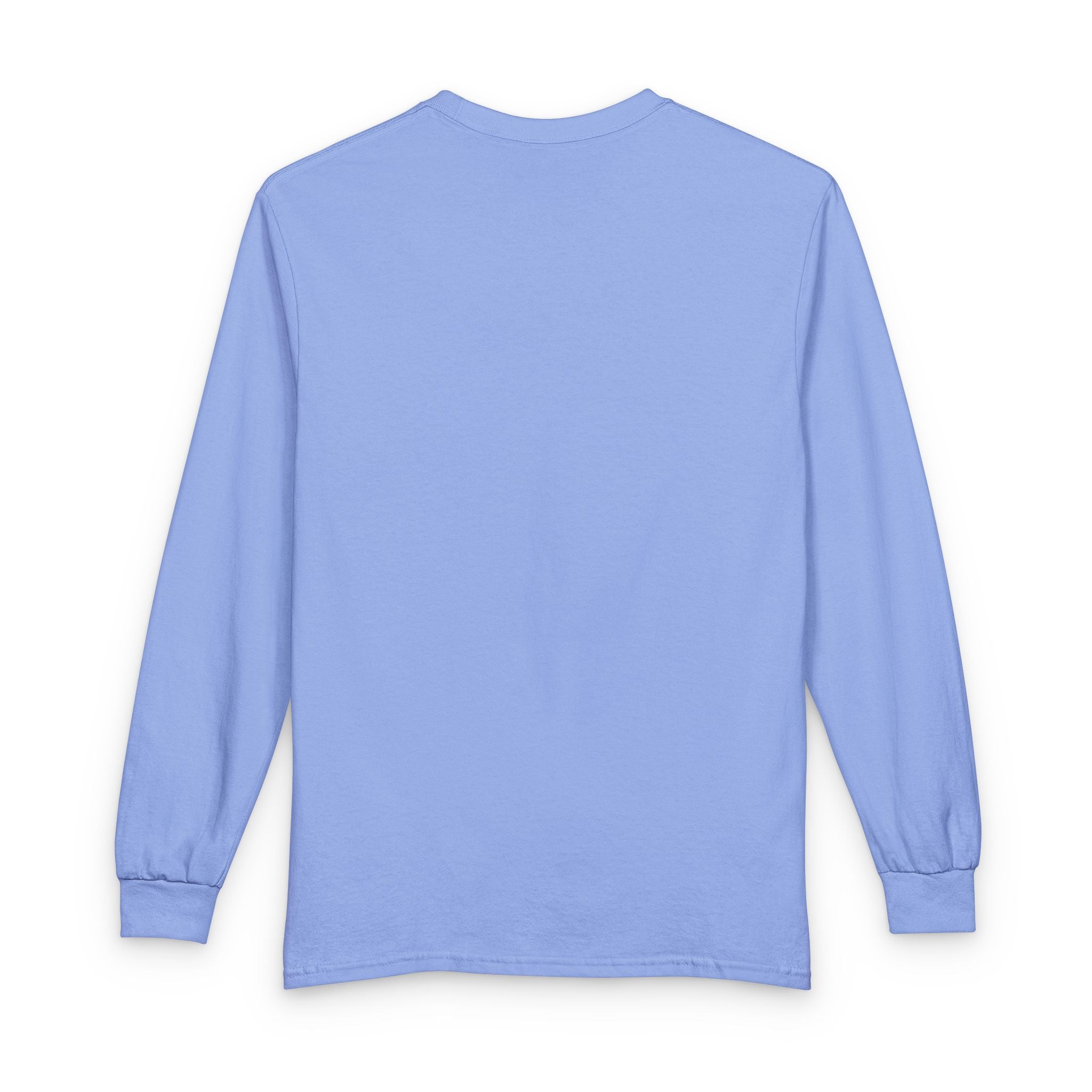 Ride It Like Stole It Horse Long Sleeve T-Shirt | HorseGirlsBrand