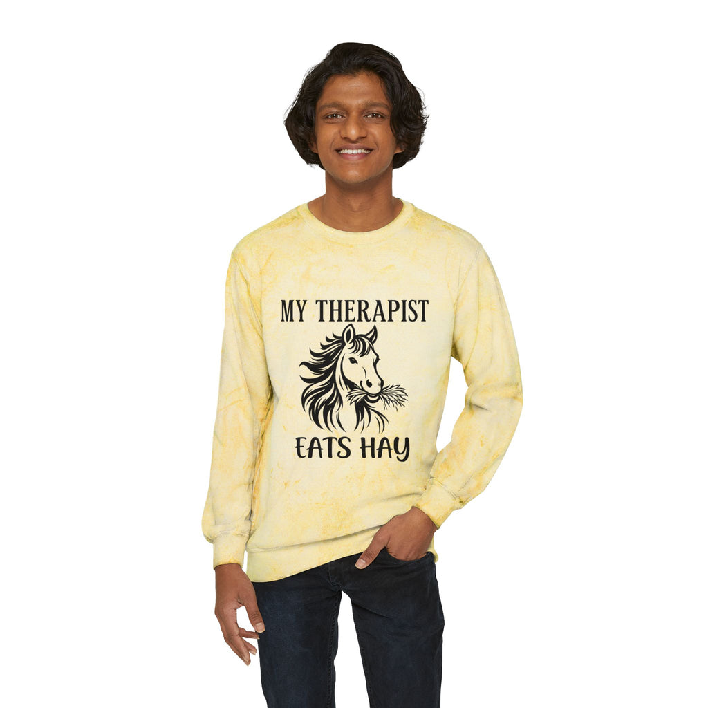My Therapist Eats Hay horse graphic Sweatshirt | tie dye crewneck