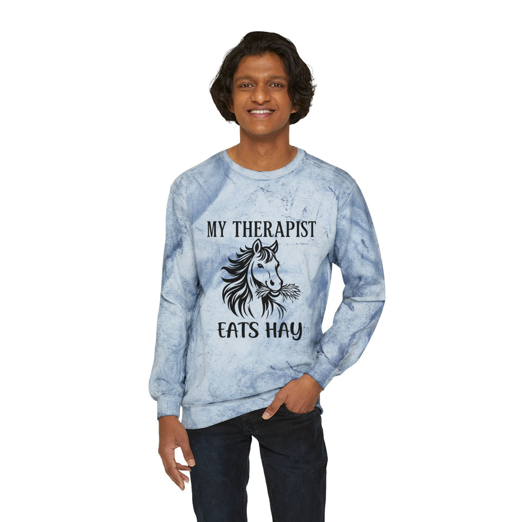My Therapist Eats Hay horse graphic Sweatshirt | tie dye crewneck