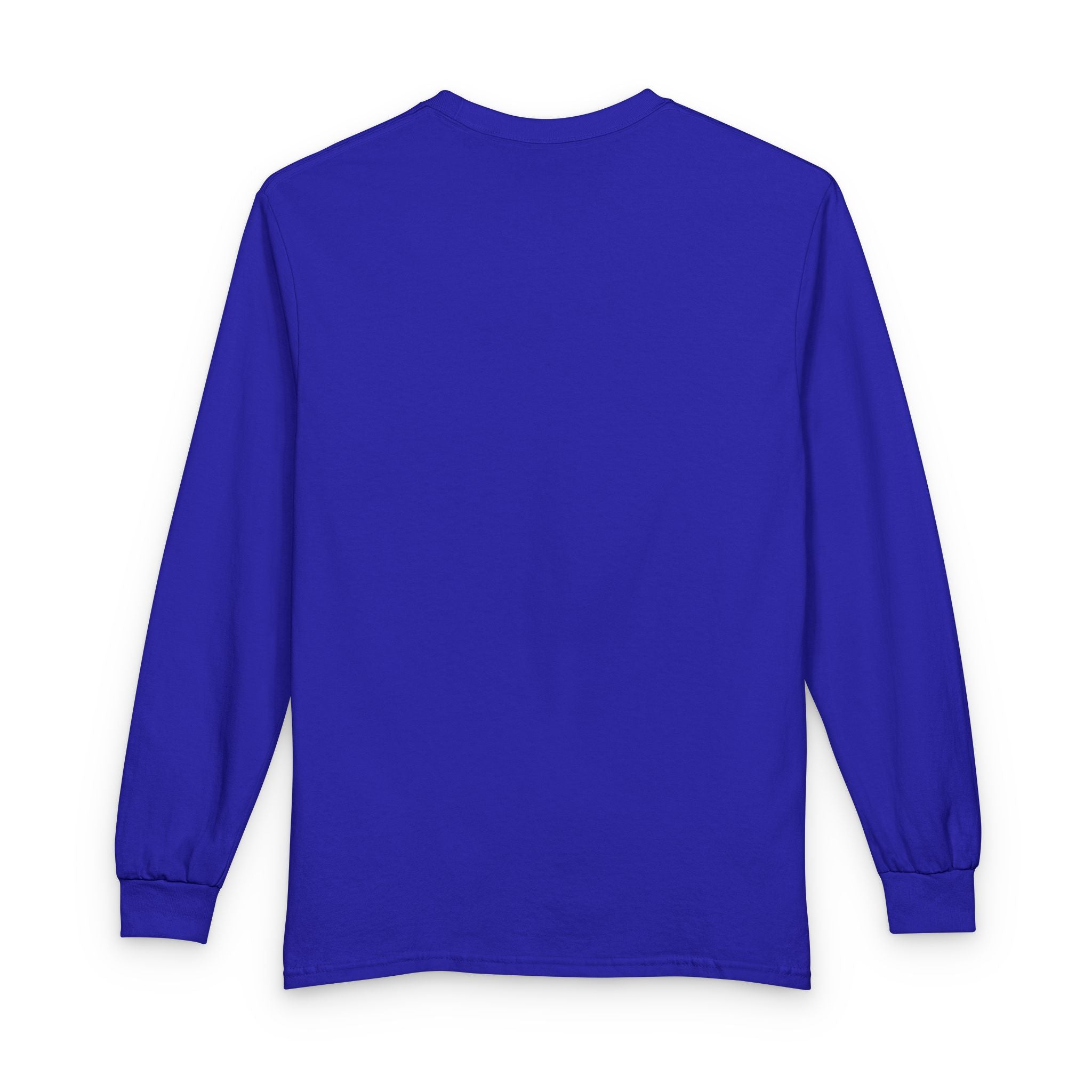 Ride It Like Stole It Horse Long Sleeve T-Shirt | HorseGirlsBrand