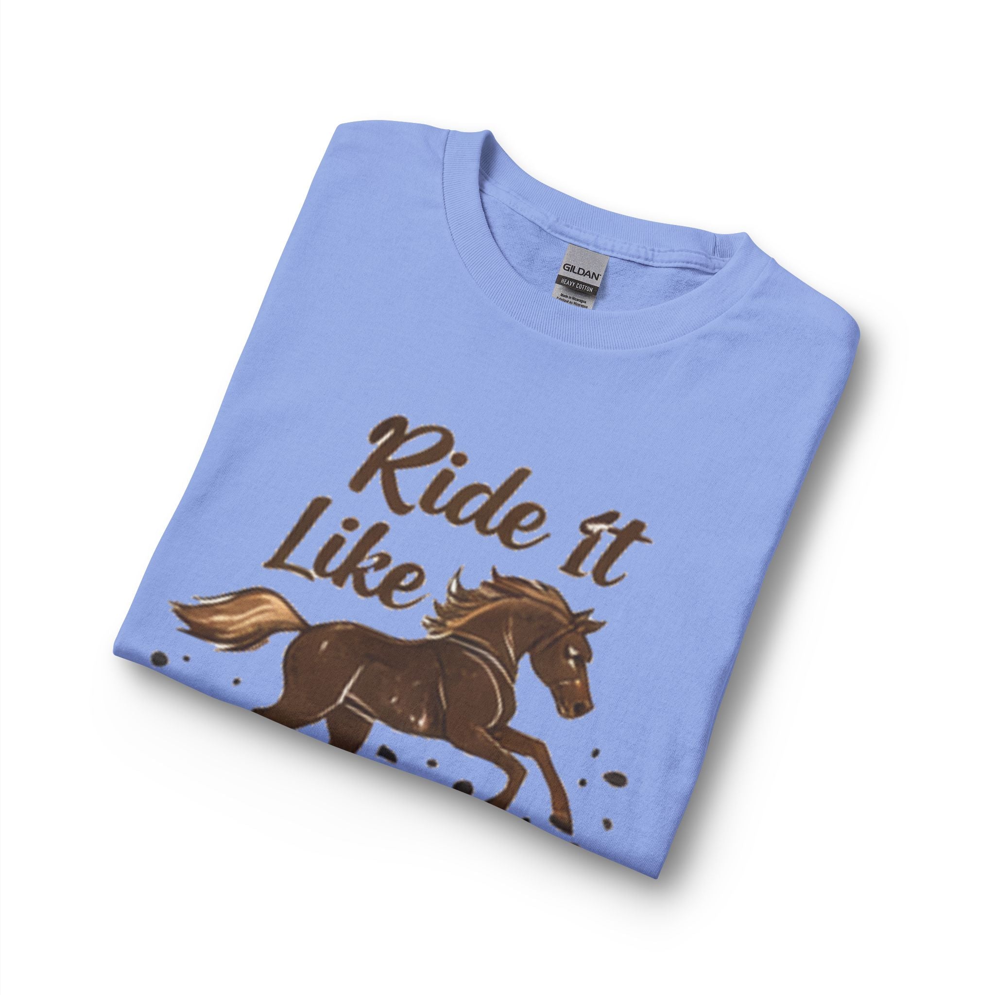 Ride It Like Stole It Horse Long Sleeve T-Shirt | HorseGirlsBrand