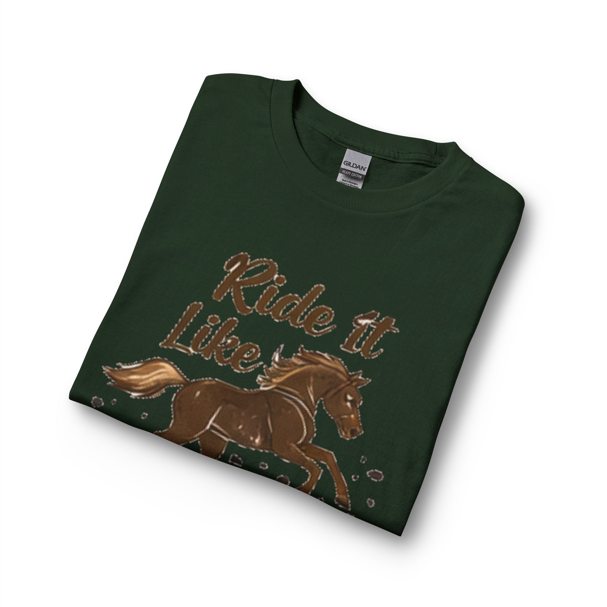 Ride It Like Stole It Horse Long Sleeve T-Shirt | HorseGirlsBrand