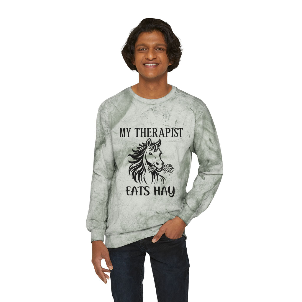 My Therapist Eats Hay horse graphic Sweatshirt | tie dye crewneck